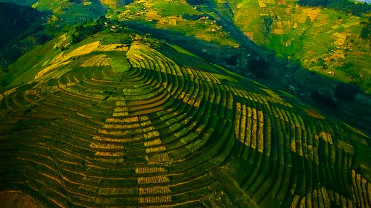 African Union Land Governance Strategy